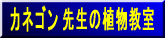 �J�l�S���搶�̐A������